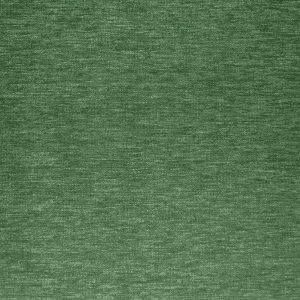 Coniston Plain Green