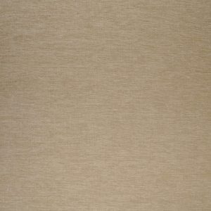 Coniston Plain Oyster