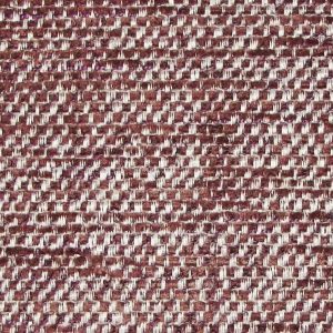 Northwood Plum SR12781