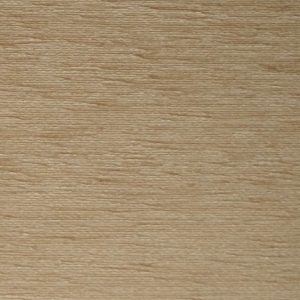 Camden Plain Oyster - SR12440