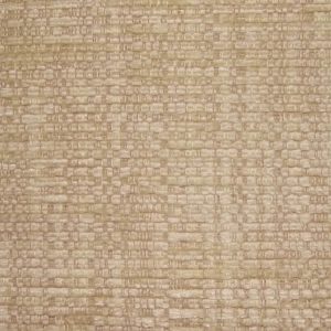 Kilburn Plain Oyster