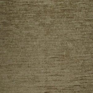 Conway Plain Lichen SR13140