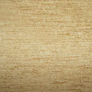 Conway Plain Wheat SR13141