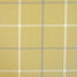 Piazza Mustard Window Pane