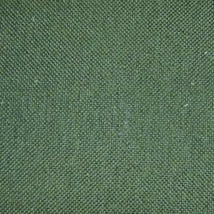 Perth Plain Moss - SR13679