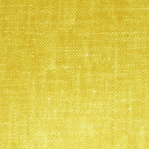 Raffles Mustard -  SR16316