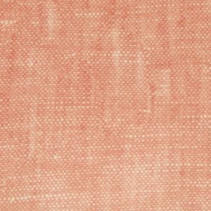 Raffles Salmon - SR16319