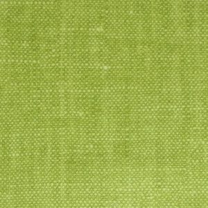 Raffles Lime - SR16324
