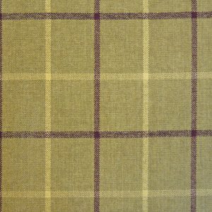 Lana Olive Window Pane